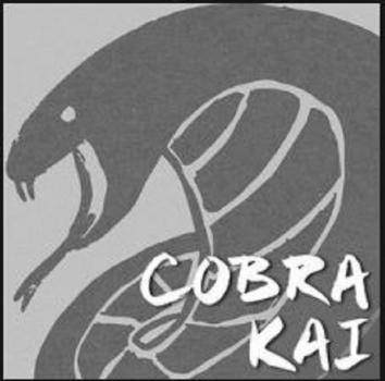 Cobra Kai: Strike First, Strike Hard, No Mercy!